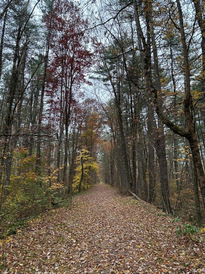 Escape To A Streamside Cabin In The Lower Catskills Wurtsboro Exterior photo